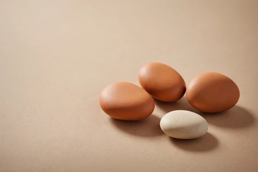 Hipoteca fija, variable o mixta: cual elegir